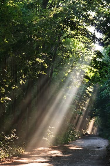 Light leading the way on a path